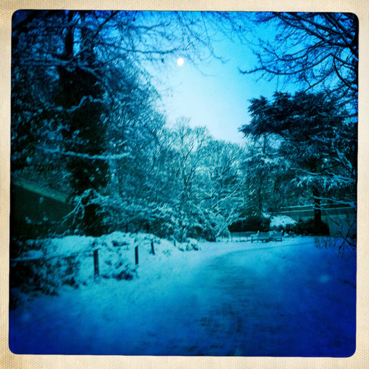 Snow Covered Road