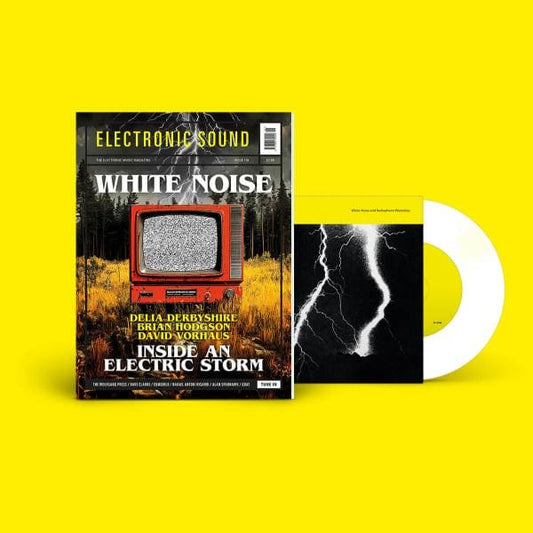 Electronic Sound Magazine + Vinyl - Issue 118